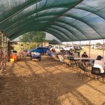 Bourke Clay Target Club