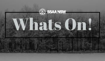 What’s On! December 2022