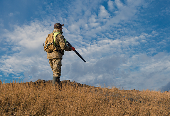 conservation wildlife management