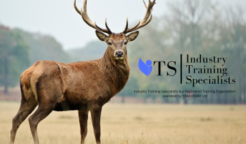 Industry Training Specialists Pty Ltd RTO 45860